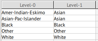 Hierarchy for attribute race